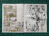 bagatelle_page4-5