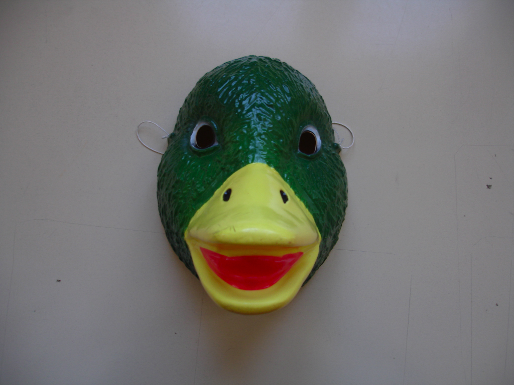 dsc00264.jpg
