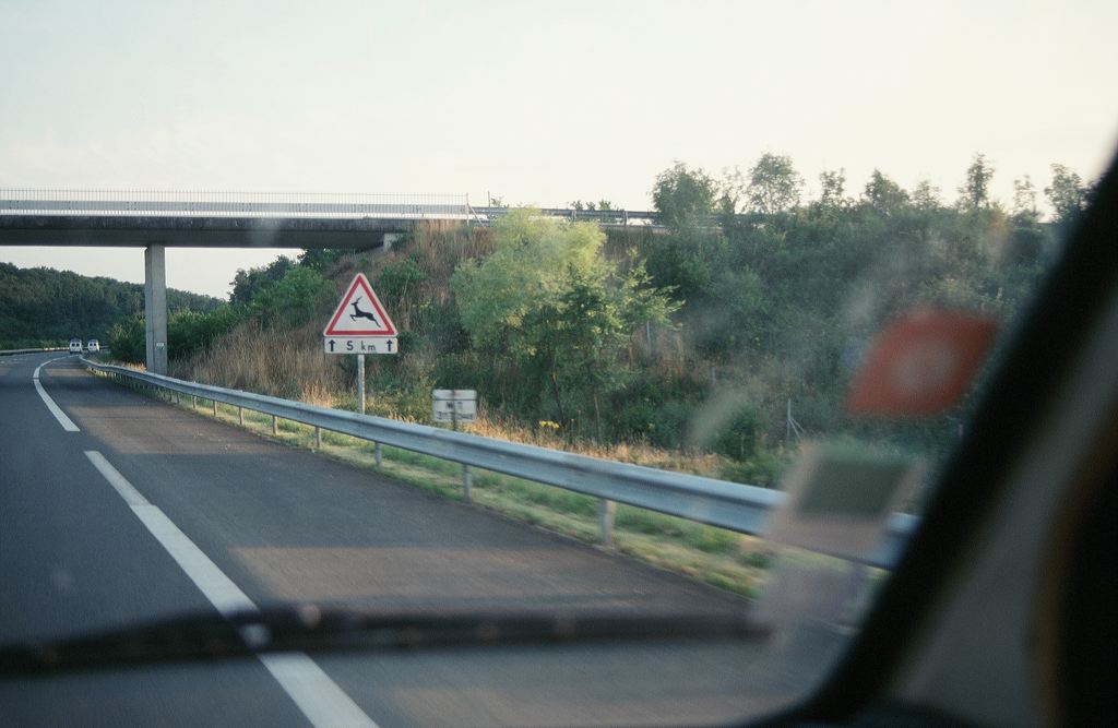 05260013.jpg