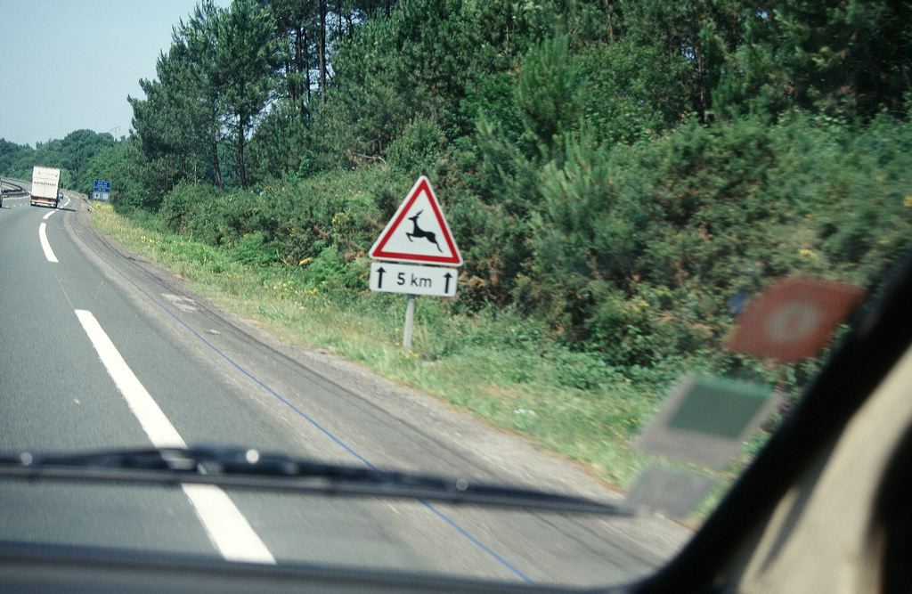 05260022.jpg