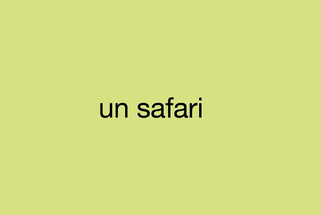 safari_00.jpg