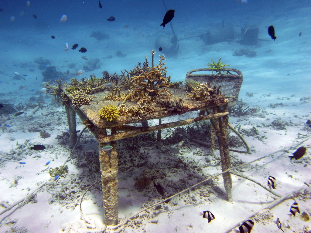 mineral_accretion_furniture.jpg